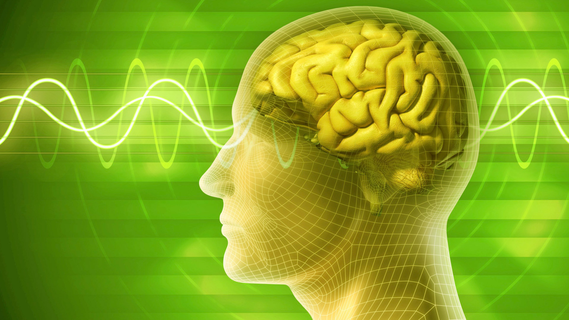 Brainwaves and qEEG Brain Mapping